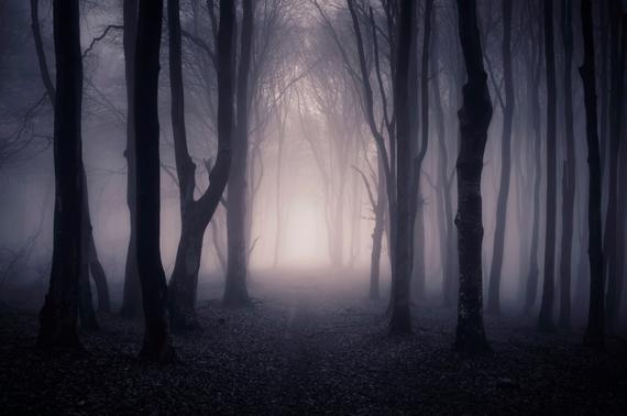 Dark Woods Room Mist – aroma43